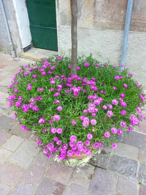 مبيت وإفطار Campo Ligure Nonno Toni المظهر الخارجي الصورة
